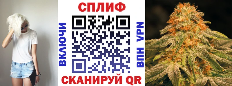 Шишки марихуана семена Россошь